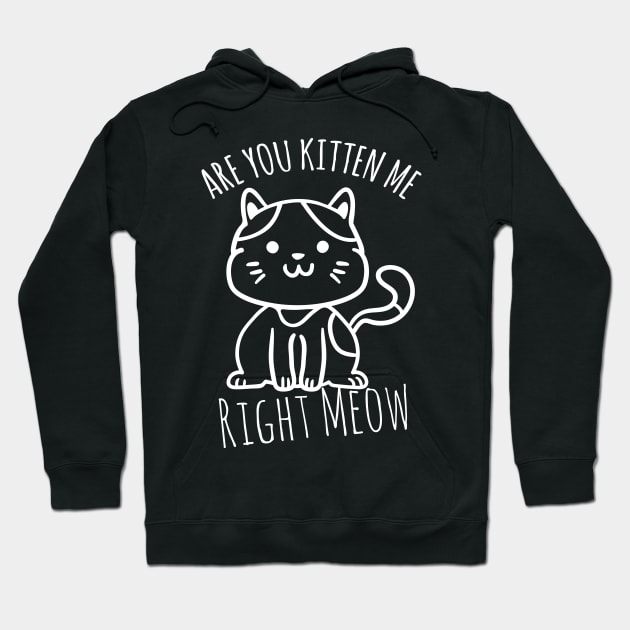 Are You Kitten Me Right Meow Hoodie by Sunil Belidon